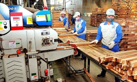Khu vực Bình Định cũ có hơn 320 doanh nghiệp chế biến gỗ.