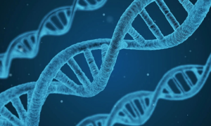 AlphaGenome, công cụ AI mới của Google, có khả năng giải mã và dự đoán thay đổi DNA.