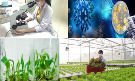 Xây dựng Bộ chỉ tiêu và phương pháp thống kê công nghệ sinh học, theo dõi định kỳ tỷ trọng đóng góp của công nghệ sinh học phục vụ phát triển kinh tế- xã hội. Ảnh minh họa