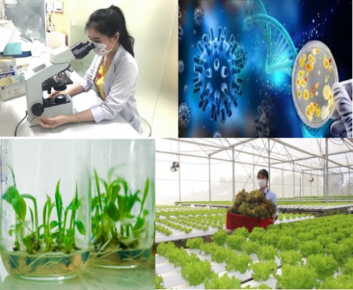 Xây dựng Bộ chỉ tiêu và phương pháp thống kê công nghệ sinh học, theo dõi định kỳ tỷ trọng đóng góp của công nghệ sinh học phục vụ phát triển kinh tế- xã hội. Ảnh minh họa