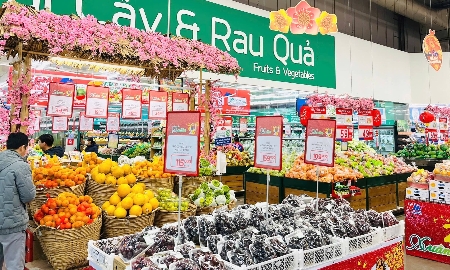 Năm nay các sản phẩm trái cây ngoại nhập tăng mạnh về số lượng, chủng loại và giá cả rất cạnh tranh.