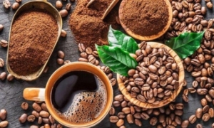 EU tiếp tục siết các quy định về bền vững với sản phẩm cà phê nhập khẩu