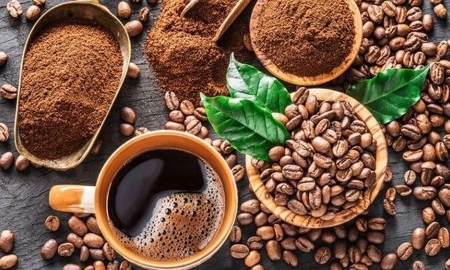 Kể từ ngày 30/12/2025, mọi lô hàng cà phê xuất khẩu vào EU phải đi kèm với chứng minh rằng sản phẩm không được trồng trên diện tích đất có hoạt động phá rừng sau tháng 12/ 2020