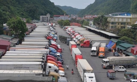 Hàng nghìn container nguyên liệu đang ùn ứ tại cảng.