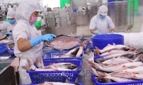 Xuất khẩu thủy sản khởi sắc tháng đầu năm, châu Á là động lực chính