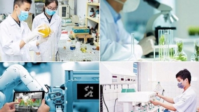 New biotech statistical framework to be established by 2028