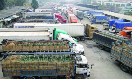 Nghị định 46/2026/NĐ-CP sẽ tạm ngưng hiệu lực thi hành đến hết ngày 15/4/2026 nhằm tháo gỡ vướng mắc cho các doanh nghiệp.