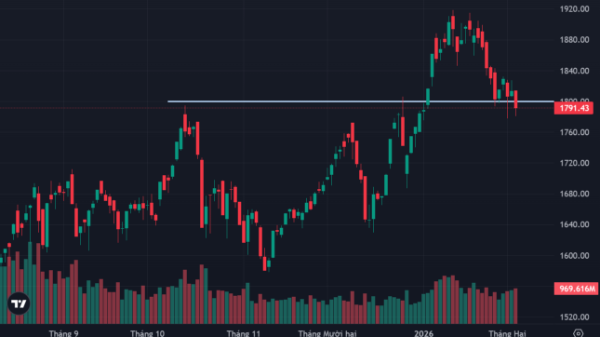 VN-Index chính thức đóng cửa dưới 1800 điểm, cổ phiếu vẫn phân hóa tốt