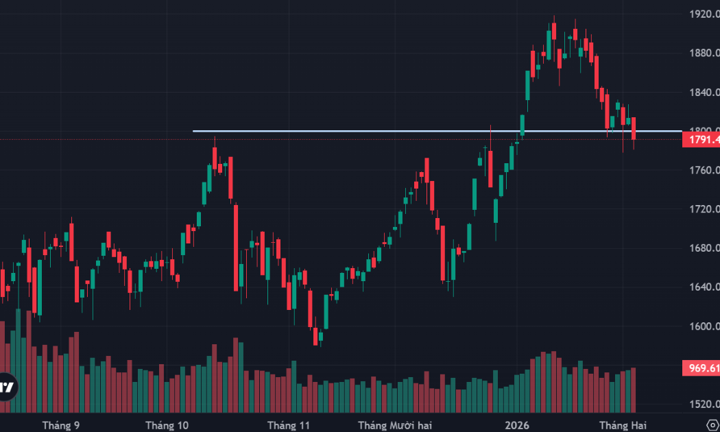 VN-Index chính thức đóng cửa dưới 1800 điểm, cổ phiếu vẫn phân hóa tốt