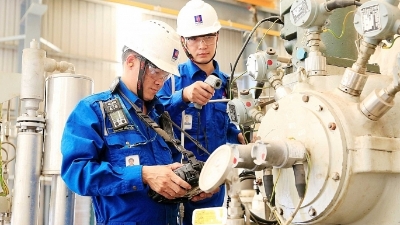 Vietnam’s Talent Market