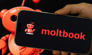 Moltbook ra mắt vào cuối tháng 1/2026. Đây là khoảng thời gian mà nền tảng này bắt đầu xuất hiện rộng rãi trên các diễn đàn và mạng xã hội, thu hút chú ý trong cộng đồng công nghệ.