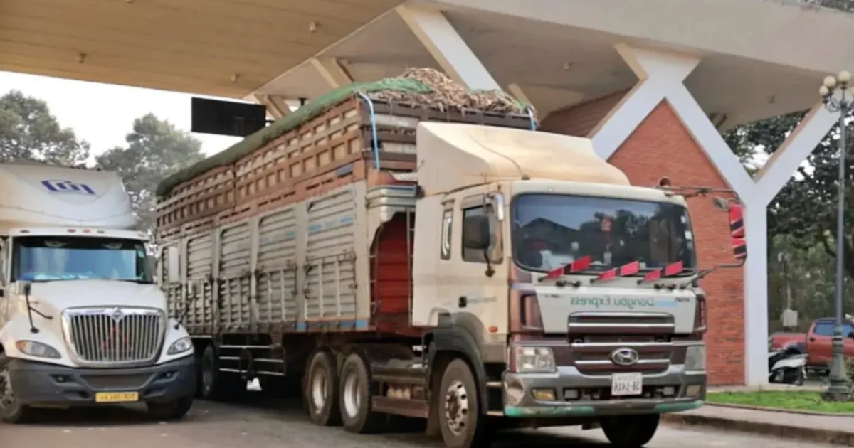 Nghị định 46 và bài toán tổ chức kiểm tra hàng nhập khẩu