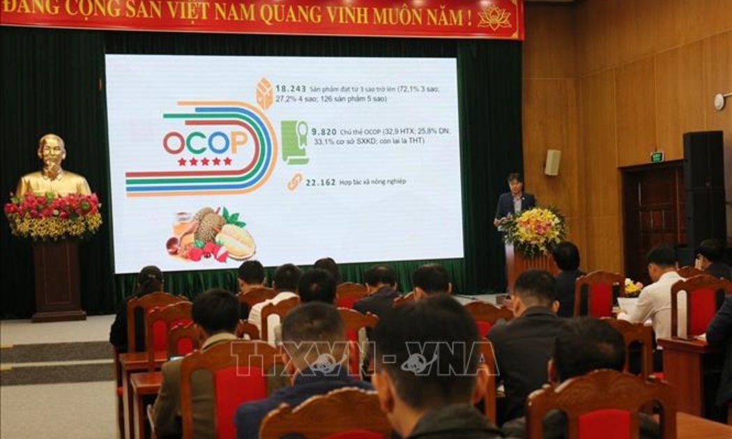 Ủy ban Trung ương Mặt trận Tổ quốc Việt Nam tổ chức hội nghị tập huấn cho cán bộ Mặt trận các tỉnh, thành phố khu vực phía Bắc về ứng dụng chuyển đổi số trong xây dựng nông thôn mới và giảm nghèo bền vững năm 2025. Ảnh: TTXVN.