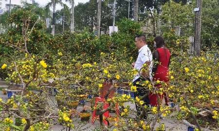 Giáp Tết,
