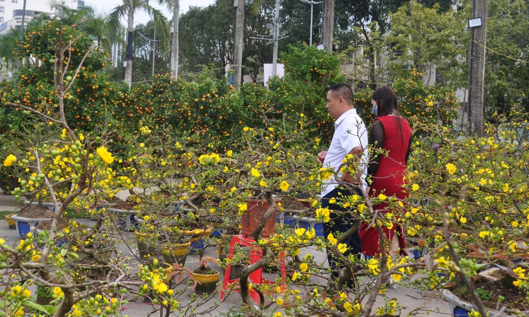 Chợ hoa Tết rực rỡ tại Quảng trường Lam Sơn 