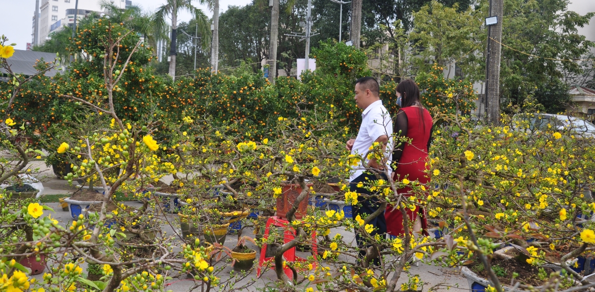 Giáp Tết, "chợ hoa' tại quảng trường Lam Sơn nhộn nhịp kẻ bán người mua.