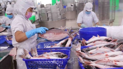 Vietnam’s seafood exports increase 13% in January