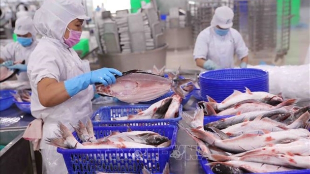 Vietnam’s seafood exports increase 13% in January