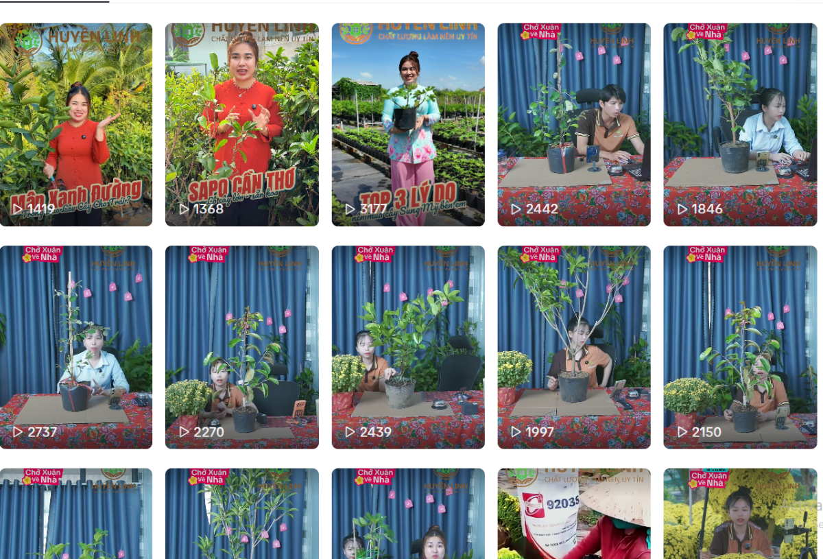 Những buổi livestream bán hoa, cây cảnh Tết luôn thu hút rất đông người xem.