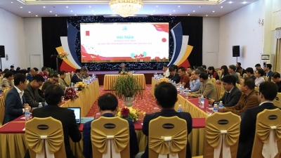 Da Nang seeks startup input to develop 2026 innovation ecosystem