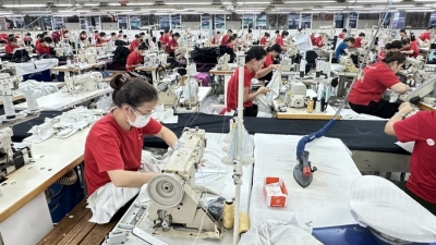 Nearly 24,200 enterprises established in January 