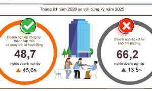 Tháng 1/2026: Doanh nghiệp gia nhập thị trường tăng, quy mô vốn nhỏ lại