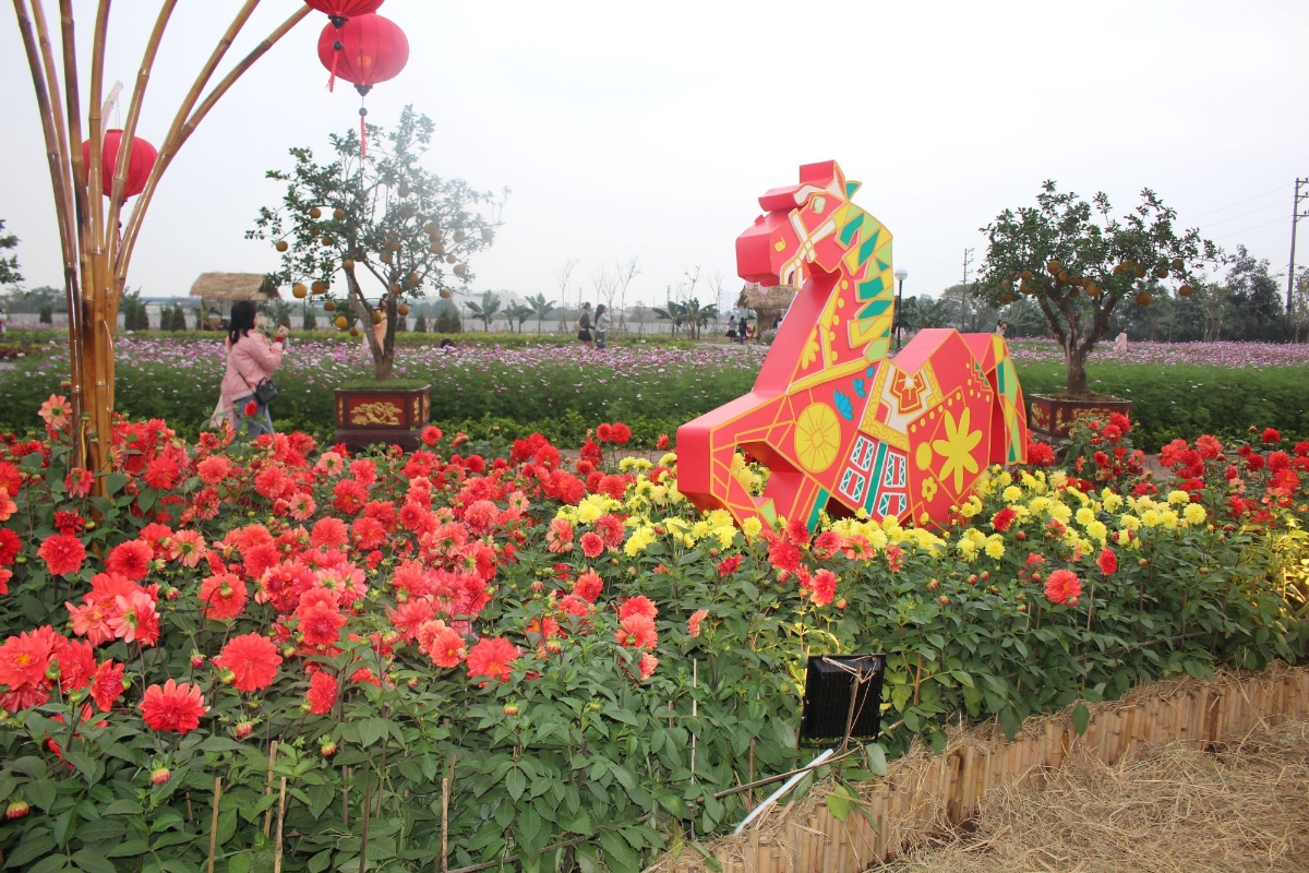 Một góc đường hoa Xuân Home Hanoi Xuan 2026. Ảnh: Chu Khôi.