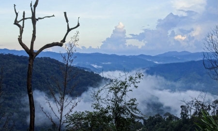 Măng Đen trong sương mù-nơi được ví như Đà Lạt thứ 2 của Việt Nam. Ảnh Khu du lịch Măng Đen