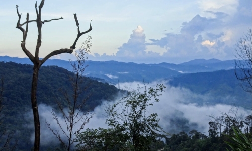 Hơn 27.000 tỷ đồng đầu tư vào 3 khu đô thị tại Măng Đen, Quảng Ngãi