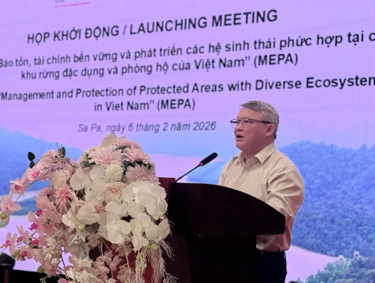 Ông Đoàn Hải Nam, Phó Cục trưởng Cục Lâm nghiệp và Kiểm lâm