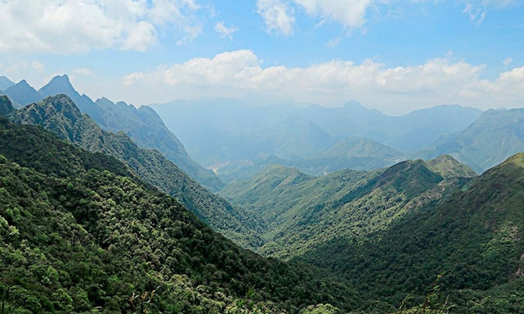 Khởi động Dự án MEPA: Thúc đẩy quản lý tích hợp và bảo tồn bền vững rừng đặc dụng Việt Nam