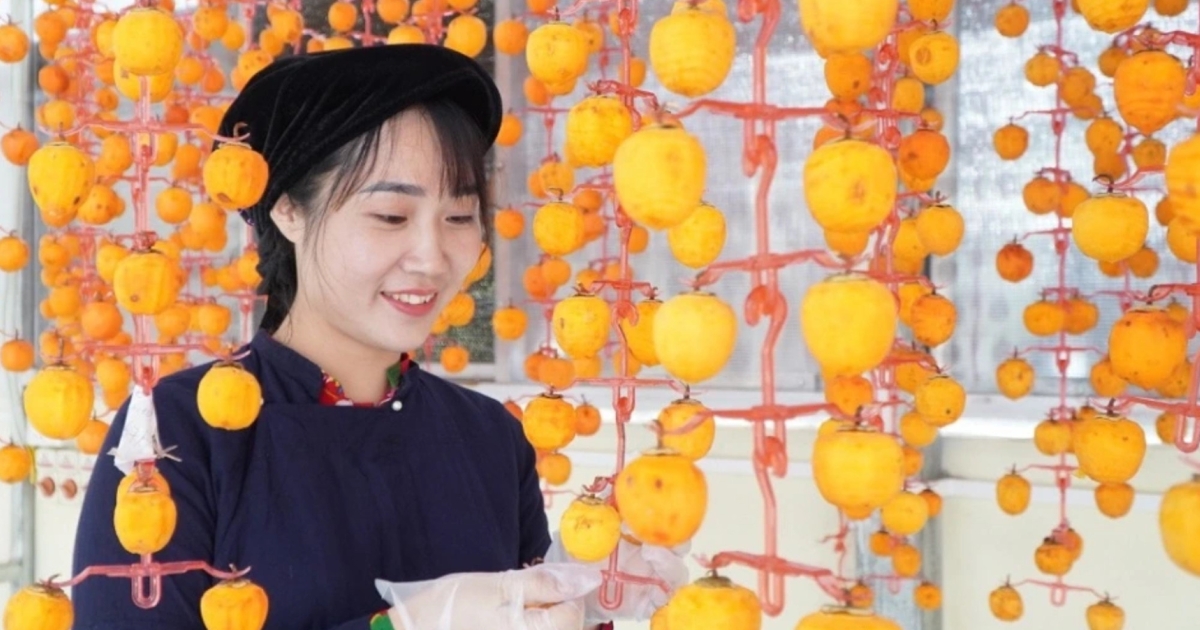 Cô giáo người Nùng “nâng tầm” quả hồng vành khuyên xứ Lạng