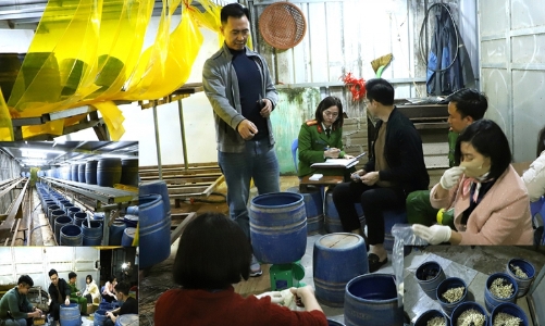 Ninh Bình: Triệt phá cơ sở dùng chất cấm 