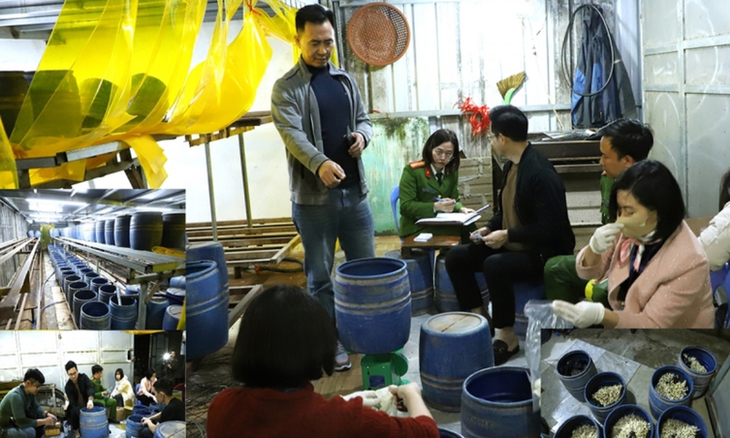 Ninh Bình: Triệt phá cơ sở dùng chất cấm 