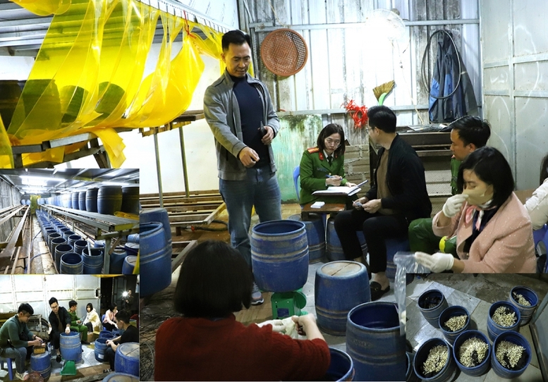 Lực lượng chức năng kiểm tra cơ sở sản xuất giá đỗ sử dụng chất cấm của Trần Quốc Đại