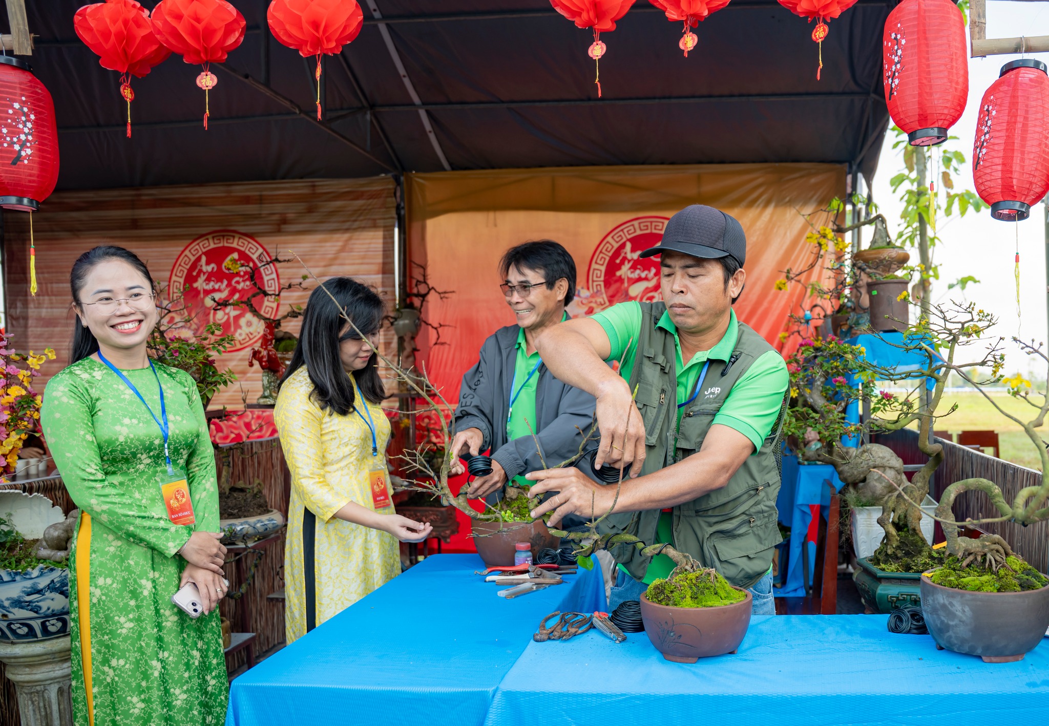 Nghệ nhân chỉnh dáng mai.