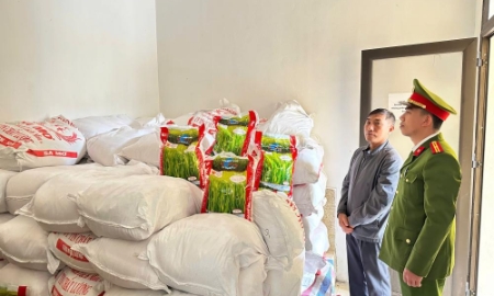 Lực lượng chức năng thu giữ 2,75 tấn gạo, được đóng gói trong 275 bao bì giả, in thông tin nhãn hiệu “Cỏ May – Chất lượng thay lời nói”. Ảnh: Công an tỉnh Hà Tĩnh