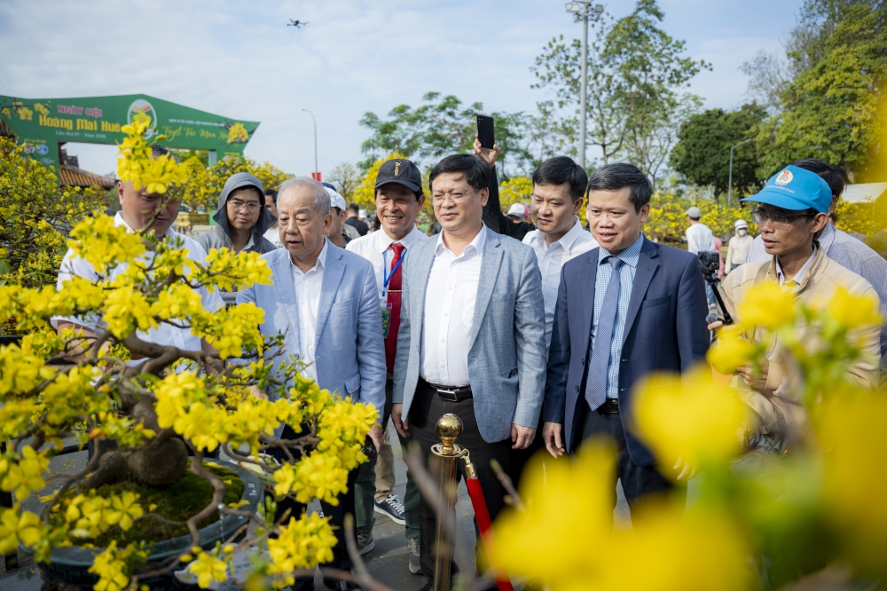 Các đại biểu cùng du
khách tham quan, thưởng lãm Hoàng mai Huế trong nắng xuân dịu nhẹ.