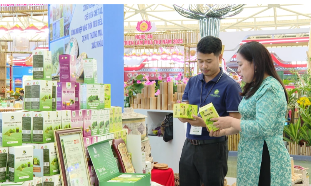 Liên kết sản phẩm, đổi mới mẫu mã đang giúp OCOP Thanh Hóa mở rộng đầu ra, tiêu thụ hiệu quả trong dịp Tết.