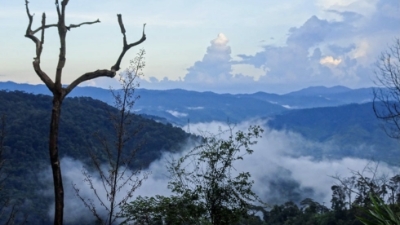 Over $1 bln to be poured into three urban projects in Mang Den