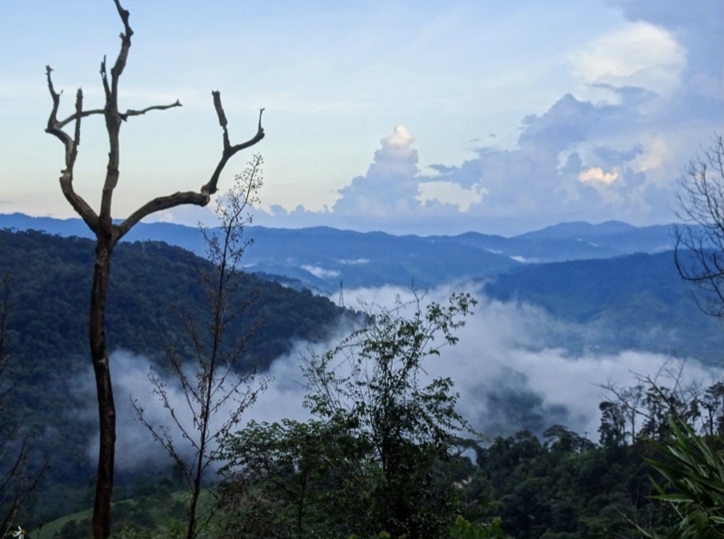 Over $1 bln to be poured into three urban projects in Mang Den