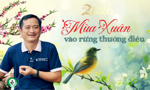 Mùa Xuân vào rừng thưởng điểu