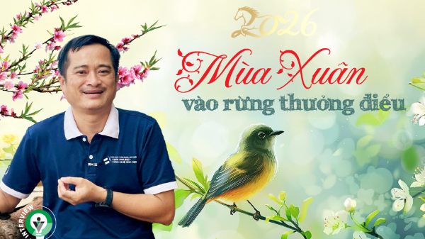 Mùa Xuân vào rừng thưởng điểu