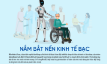 Nắm bắt nền kinh tế bạc