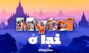Mytel ở lại