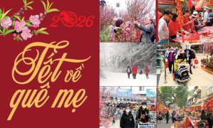 Tết về quê mẹ