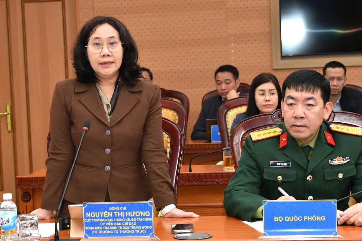 Bà Nguyễn Thị Hương, Cục trưởng Cục Thống kê báo cáo tại cuộc họp.