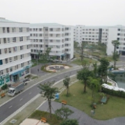 Chủ đầu tư chỉ bán nhà ở xã hội cho người đang thuê trước thời hạn 10 năm