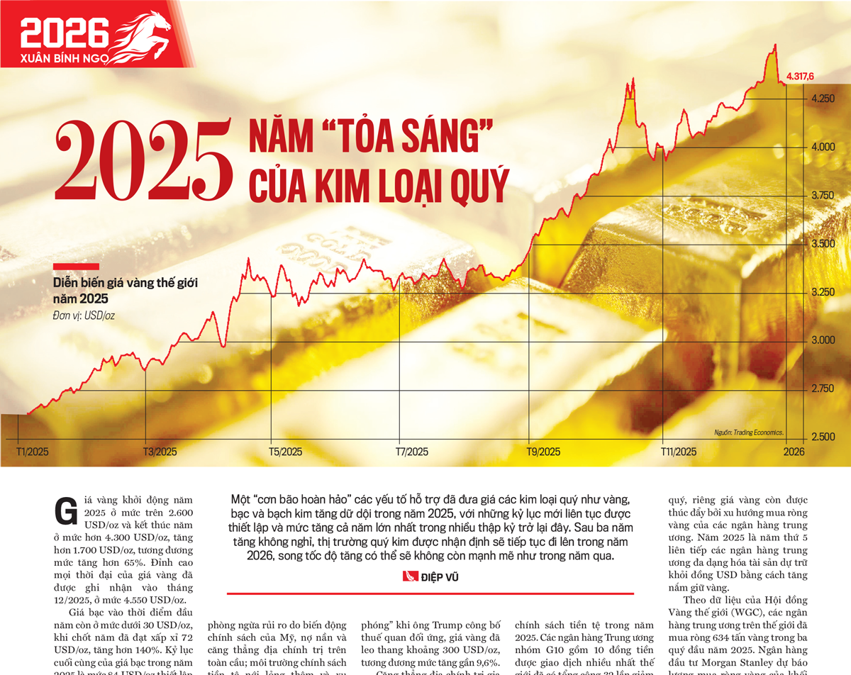 2025: Năm “tỏa sáng” của kim loại quý - Ảnh 1