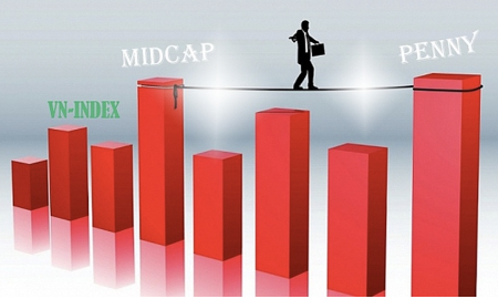 Thanh khoản giảm gây rủi ro cho nhóm vốn hóa lớn, penny, midcap